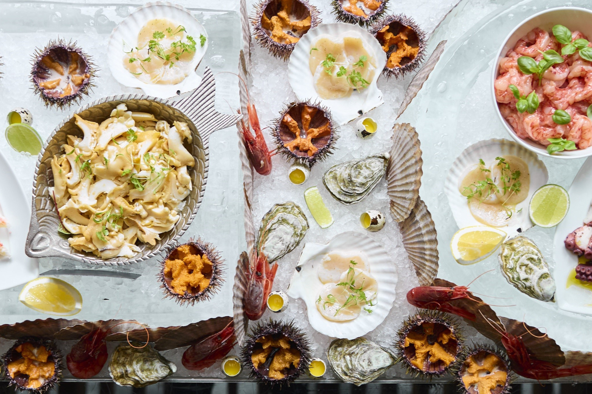 
            
                ВОСКРЕСНЫЙ БРАНЧ
            